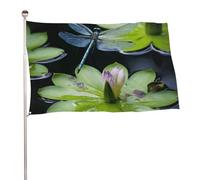 Bandiera decorativa con libellula che vola sopra, 152,4 x 243,8 cm, stampa su entrambi i lati, bandiera decorativa da giardino, non sbiadisce, con occhielli in ottone da appendere, sfondo fotografico