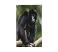 Bandiera decorativa con scimmia nera Gibbon per tutte le stagioni, stampa su un solo lato, per interni ed esterni, display trasparente