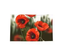 Bandiera decorativa da appendere alla parete, 9 x 1,5 m, con 4 occhielli | Fiori di papavero che stampano bandiere all'aperto stampate per il fondo all'aperto della casa della porta della parete