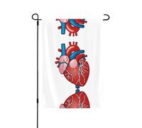 Bandiera decorativa da esterno resistente alle intemperie con stampa del grafico dell'anatomia del cuore umano, bandiera a doppio strato per cortile, giardino, veranda, patio e terrazza.