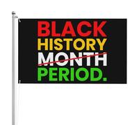 Bandiera decorativa del mese della storia nera 3x5 su entrambi i lati, resistente, a 3 strati, bandiera afro-americana, bandiera del mese della storia nera, con 2 occhielli in metallo, senza supporto