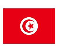 Bandiera Decorativa della Tunisia da Giardino Tunisia Bandiera Giardino Decorativo Bandiera tunisina Poliestere Nazionali per Eventi Sportivi 150x90 cm