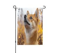 Bandiera decorativa double-face con il cagnolino che guarda il cielo, perfetta per interni ed esterni, disponibile in due misure