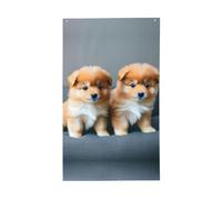 Bandiera decorativa leggera con stampa di cuccioli della Pomerania e punto 1, bandiere stagionali, per interni ed esterni, patio, prato, giardino