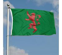 Bandiera Decorativa Narnia Con 2 Occhielli Bandieradacortile Resistente Alle Intemperie Bandiere Giardino Per Esterni Vacanza Patio 3X5 Ft