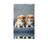 Bandiera decorativa per esterni con cuccioli della Pomerania e punto 1, bandiera decorativa per interni, per cortile e festività