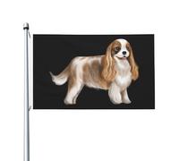 Bandiera decorativa per esterni con simpatico Cavalier King Charles Spaniel, 3x5 piedi