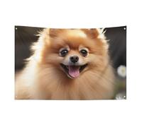 Bandiera del cane della Pomerania, 152,4 x 243,8 cm, non sbiadisce, bandiera di benvenuto da giardino, cortile, casa, cartello decorativo per interni ed esterni, decorazione per la casa