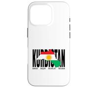 Bandiera del Kurdistan Newroz, Azadîa Curdi Il suo Biji Kurdistan Custodia per iPhone 16 Pro