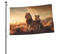 Bandiera del leone africano 2x3 FT a doppia faccia all'esterno, grande decorazione esterna del cortile della bandiera della casa dello stendardo