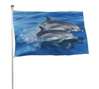 Bandiera della famiglia dei delfini, 152,4 x 243,8 cm, stampa su entrambi i lati, bandiera decorativa da giardino, non sbiadisce, con occhielli in ottone, sfondo fotografico da appendere per interni