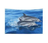 Bandiera della famiglia dei delfini 3x5 Ft No Fade Bandiera di benvenuto Giardino Yard House Bandiere Decorative Garden Yard Sign Indoor Outdoor Banner Party Home Decor