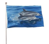 Bandiera della famiglia dei delfini 61 x 88,9 cm, stampa su entrambi i lati, bandiera decorativa da giardino, non sbiadisce, con occhielli in ottone da appendere, sfondo fotografico per interni ed