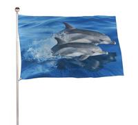 Bandiera della famiglia dei delfini, 89 x 150 cm, stampa su entrambi i lati, bandiera decorativa da giardino, non sbiadisce, con occhielli in ottone, sfondo fotografico da appendere, per interni ed
