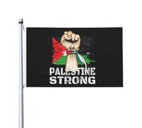 Bandiera della Palestina Bandiera degli Strongs della Palestina 3x5 Bandiera bifacciale per esterni da parete per patio 3x5 piedi, Arazzo degli Strongs della Palestina per camera