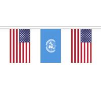 Bandiera dell'amicizia dei territori degli Stati Uniti in poliestere...