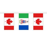 Bandiera dell'amicizia delle province canadesi e canadesi - 10 m con 28 bandiere