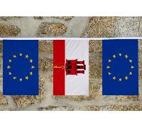 Bandiera dell'amicizia dell'Unione europea e dei paesi extra UE - MADE IN THE UK