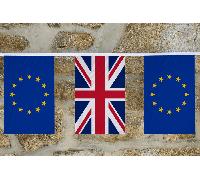 Bandiera dell'amicizia dell'Unione europea e dei paesi extra UE - MADE IN THE UK