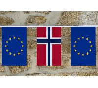 Bandiera dell'amicizia dell'Unione europea e dei paesi extra UE - MADE IN THE UK