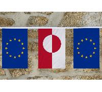 Bandiera dell'amicizia dell'Unione europea e dei paesi extra UE - MADE IN THE UK