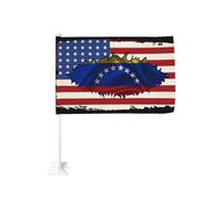 Bandiera dell'amicizia tra America e Venezuela, con clip per finestra, per auto, protezione solare, decorazione, 12x18 pollici, striscione bifacciale per camion