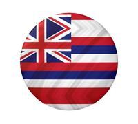 Bandiera delle Hawaii Americana Stampa 6 cm Rotondo Banda Stagnata Distintivo Stampato su un lato Perfetto Per Stile Personale Decorazione E Regalo, Misura unica, Metallo