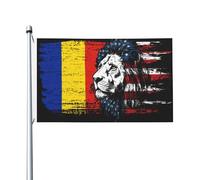 Bandiera Dell'Individualità Romania Romanian Handsome America Lion Head Bandiera Pirati All'Aperto Bandiera Da Giardino Per Giardino, Camion, Cortile, 90X150cm