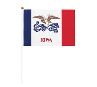 Bandiera dello stato dell'Iowa con grafica, 14 x 20,8 cm, adatta per feste, eventi sportivi, celebrazioni