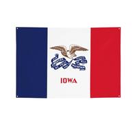 Bandiera dello stato dell'Iowa decorazione da appendere alla parete, adatta per varie scene, feste, riunioni (119,4 x 180,3 cm) banner festivo