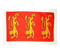 Bandiera Di Benvenuto King Richard I Of England Resistente Alle Intemperie Bandiera Verticale Robuste Decorazioni Da Giardino Per Domestiche Vacanza Letto 3X5 Ft