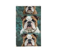Bandiera di benvenuto Primavera Divertente Bulldog inglese Bandiera da giardino 3 x 1,5 m Bandiera per esterni Bandiera Brezza Bandiera a prova di sbiadimento Bandiere per la casa Decorazione esterna