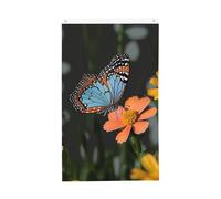 Bandiera di benvenuto Primavera Farfalla e Fiore Bandiera da giardino 3 x 5 Ft Bandiera per esterni Bandiera Brezza Bandiera a prova di sbiadimento Bandiere per la casa Decorazione esterna interna