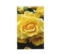 Bandiera di benvenuto Primavera Graziosa Rosa gialla Fiore Bandiera da giardino 3 x 1,5 m Bandiera per esterni Bandiera Brezza Bandiera a prova di scolorimento per la casa Decorazione esterna interna