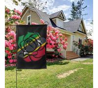 Bandiera di Saint Kitts rosa bifacciale, 28x40 pollici, decorazione per esterni