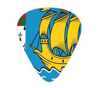 Bandiera di Saint Pierre Miquelon Plettri per chitarra Plettri per chitarra basso 12 pezzi