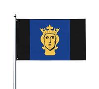 Bandiera di Stoccolma 3x5ft Patio Garden Flag Decorazione per interni Bandiera stampata su un lato