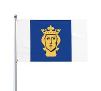 Bandiera di Stoccolma 3x5ft Patio Garden Flag Decorazione per interni Bandiera stampata su un lato