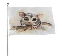 Bandiera Doppia Cucitura Bandiere Da Giardino Sugar Glider Wildlife Con Occhielli Flag Per Ristoranti Esterno Parata 90X150Cm