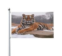 Bandiera double-face con la tigre del nordest che riposa, 9 x 1,5 m, resistente, per esterni e giardino, perfetta per camera da letto e giardino
