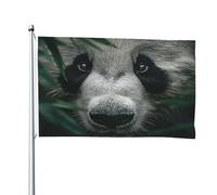 Bandiera double-face con scritta "The confusion of giant pandas", 1,2 x 1,8 m, resistente, per esterni e giardino, perfetta per camera da letto e giardino