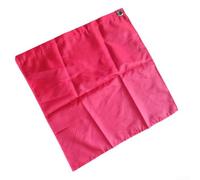 Bandiera equestre in tessuto Oxford per affondo e allenamento, facile da usare e attaccare (rosso)