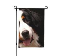 Bandiera estiva da giardino con cane da montagna bernese, 12x18 pollici, bifacciale, per esterni