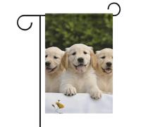 Bandiera estiva da giardino con cuccioli di Golden Retriever, doppia faccia, 12x18 pollici, bandiere da giardino primaverili, bandiera da giardino con sole, benvenuto stagionale, decorazione per est