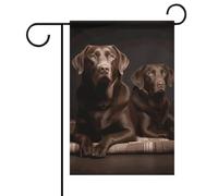 Bandiera estiva da giardino con labrador retriever marrone su entrambi i lati, 30,5 x 45,7 cm, bandiera primaverile per il sole, bandiere da giardino, benvenuto stagionale, decorazione per esterni