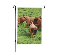 Bandiera estiva da giardino, per esterni, con scritta "Rhodesian Ridgebacks, cani, cuccioli, animali domestici, famiglia", 12x18 pollici, bifacciale