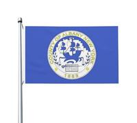 Bandiera Flag Of Albany County, New York Bandiera Pirata Tessuto Da Esterno Decorazione Striscione All'Aperto, Per Feste Estive, Eventi, Balcone, 90x150cm