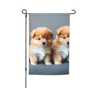 Bandiera floreale da giardino con stampa di cuccioli e punto 1 della Pomerania, 30,5 x 45,7 cm, per tutte le stagioni, decorazione per esterni, spessa, per prati