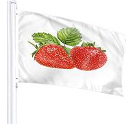Bandiera fragola 4x6 FT Frutta Fragole Foglie Bandiere per esterni Grandi striscioni per cortile di benvenuto Giardino domestico Cortile Prato Decor Rosso Verde