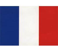 Bandiera Francia 100x150 poliestere nautico